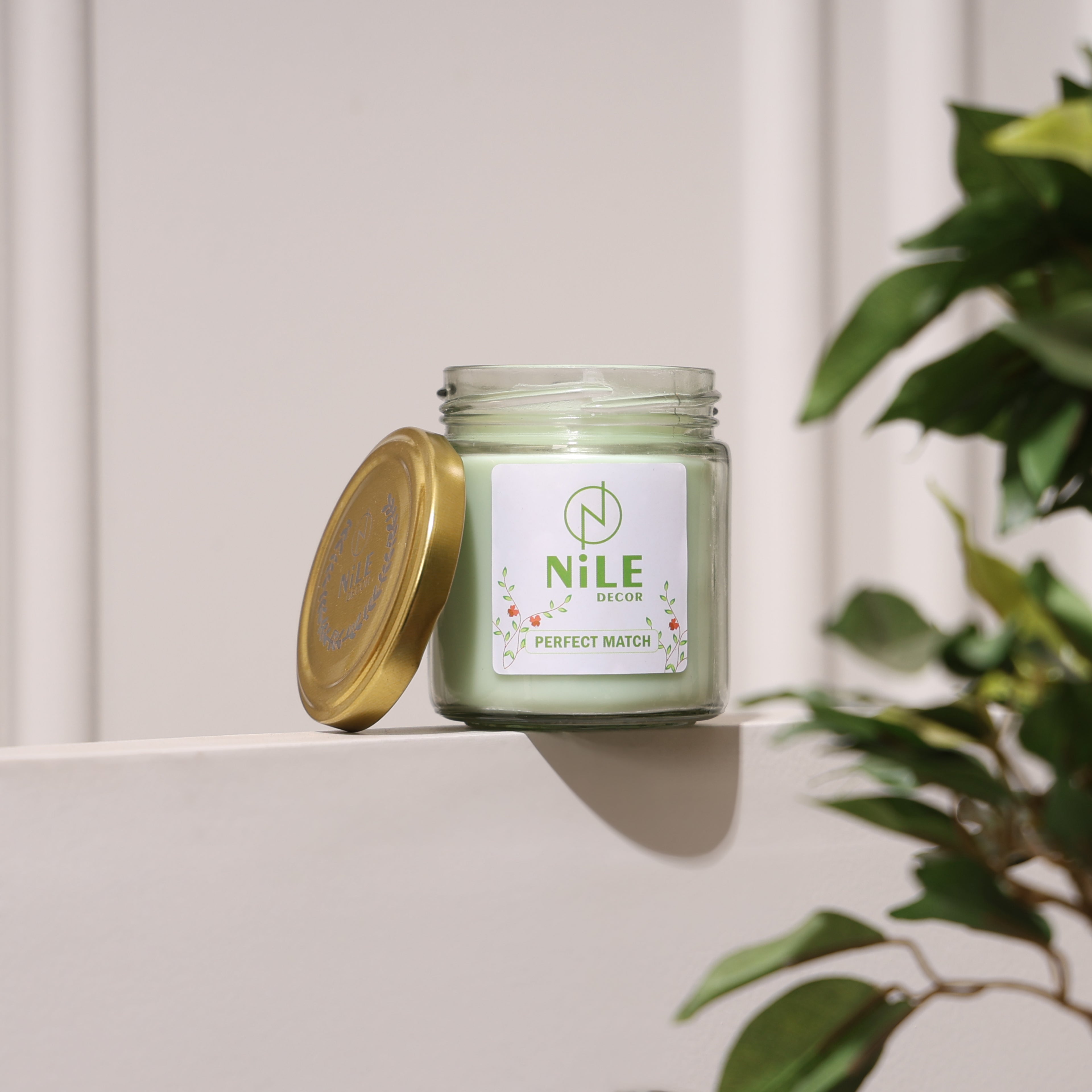 Perfect Match – NILE Love Series
